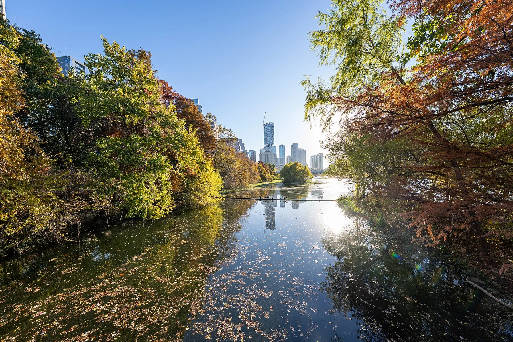 North Shoal Creek, Texas
